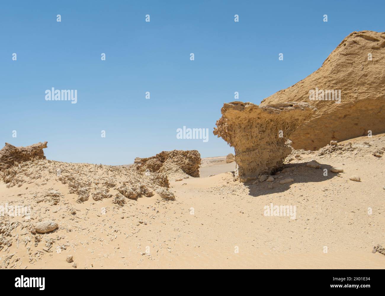 Vista panoramica del deserto occidentale desolato e arido in Egitto con formazioni geologiche di pietra arenaria e alberi di mangrovie fossili Foto Stock