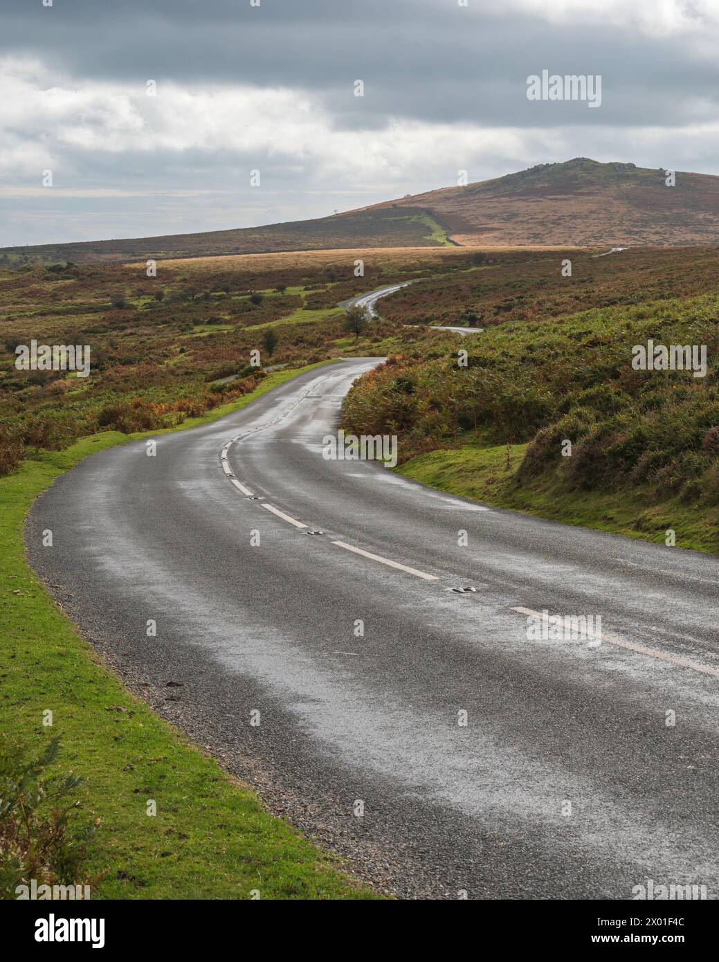Una vista autunnale sul Parco Nazionale di Dartmoor, lungo la B3387, verso Rippon Tor, Dartmoor, Devon, Inghilterra, Regno Unito Foto Stock