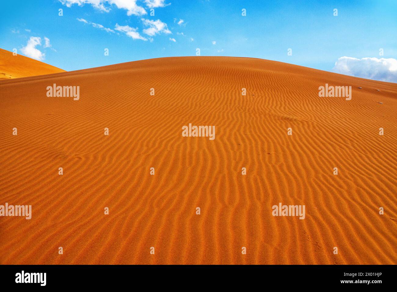 Deserti caldi della parte sud-orientale della penisola arabica. Duna barchan arancione (rosso tinto con ossido di ferro) (zone di sabbia interna, sabbia deriva) i Foto Stock