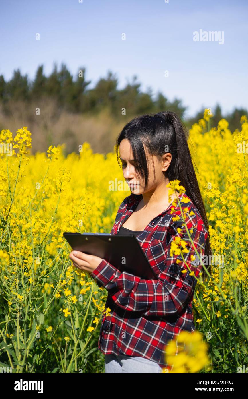 Agro tecnico donna che lavora in un napus Brassica fiorito per controllare i parassiti e le malattie delle colture Foto Stock