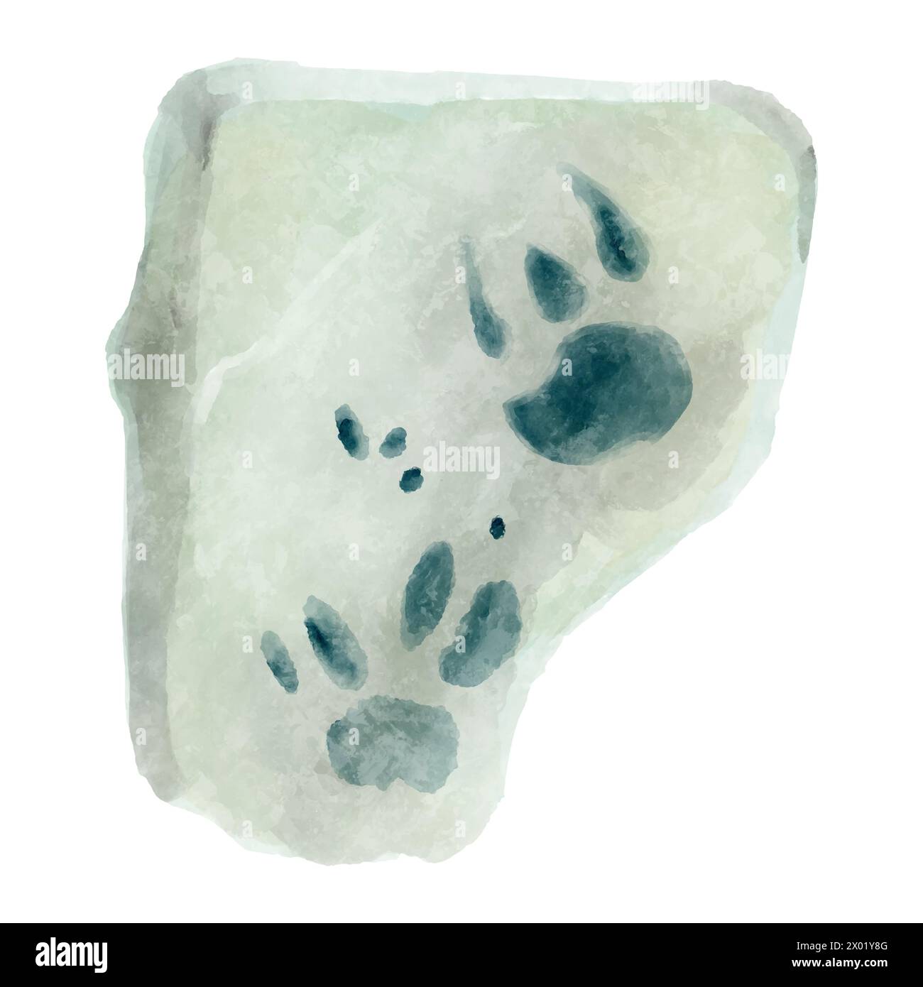 Impronta di dinosauro nella roccia . Disegno della vernice ad acquerello . Vettore . Illustrazione Vettoriale