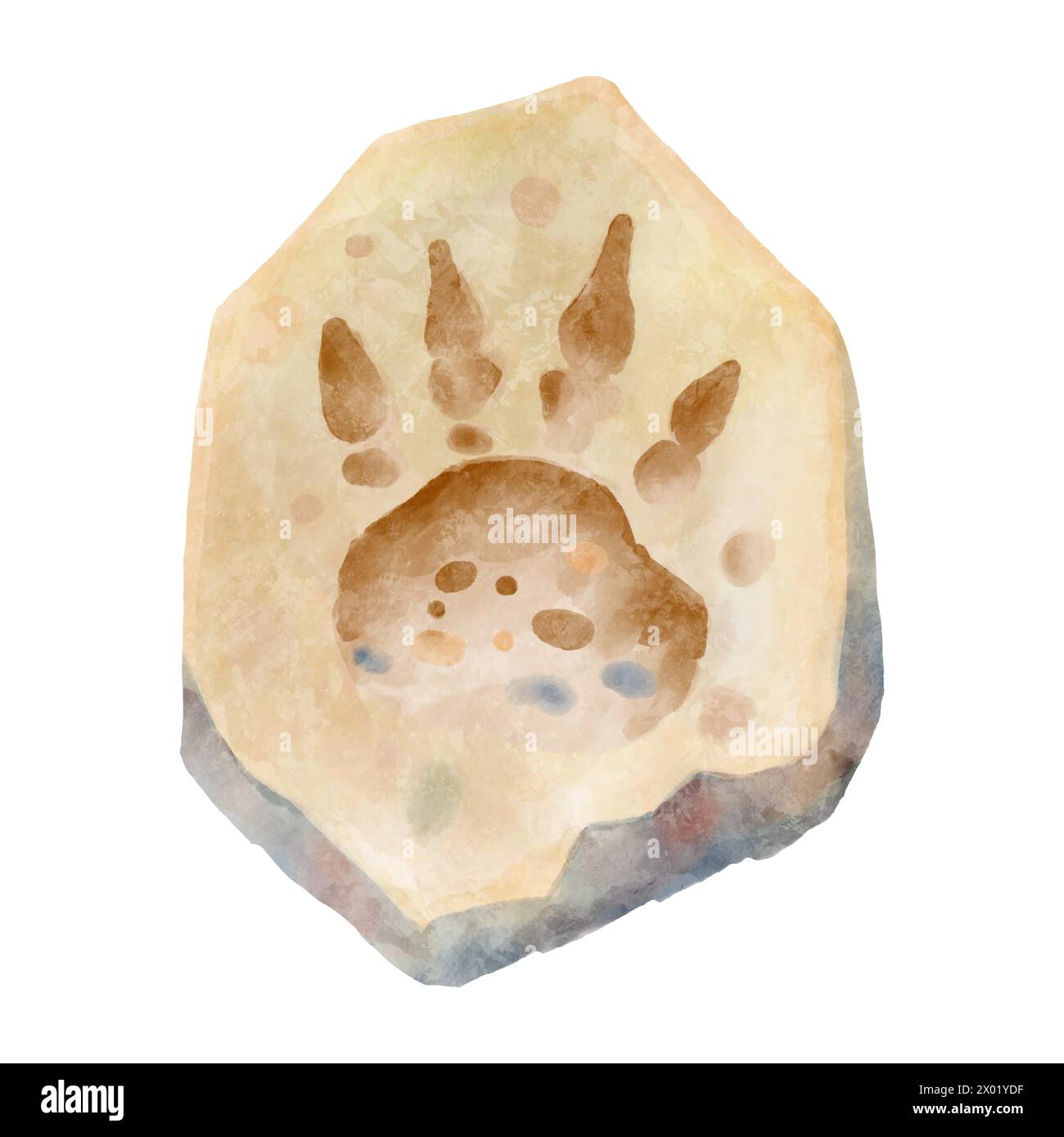 Impronta di dinosauro nella roccia . Disegno della vernice ad acquerello . Vettore . Illustrazione Vettoriale