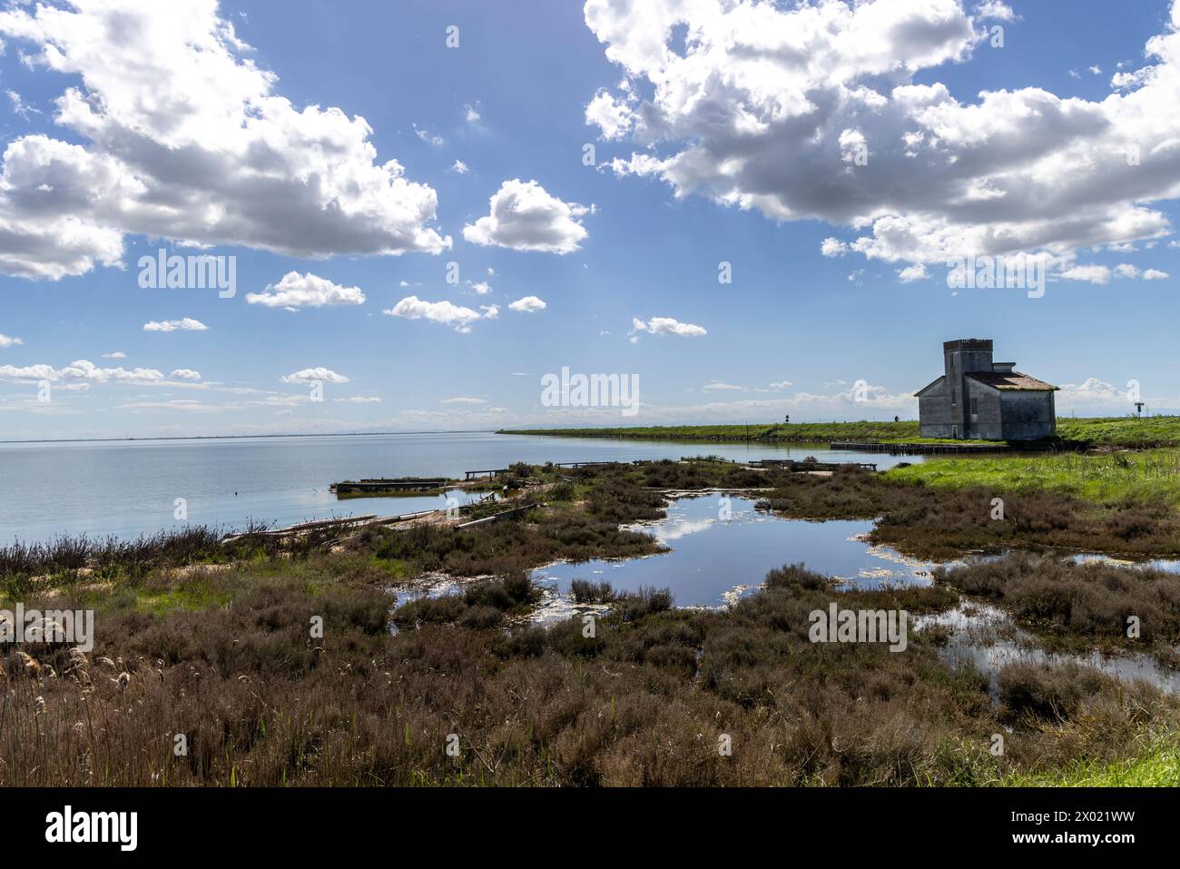 Area di protezione del paesaggio denominata Valli di Comacchio (Delta del po) in Italia, Europa Foto Stock