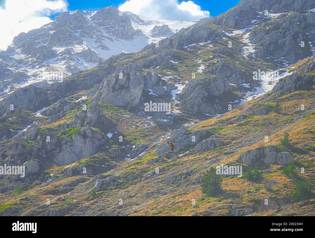 Monte Ocre (Italia) - la vetta bianca dell'Abruzzo, la catena montuosa di Ocre e Cagno, con neve e via alpinistica chiamata Canale Malequagliata Foto Stock