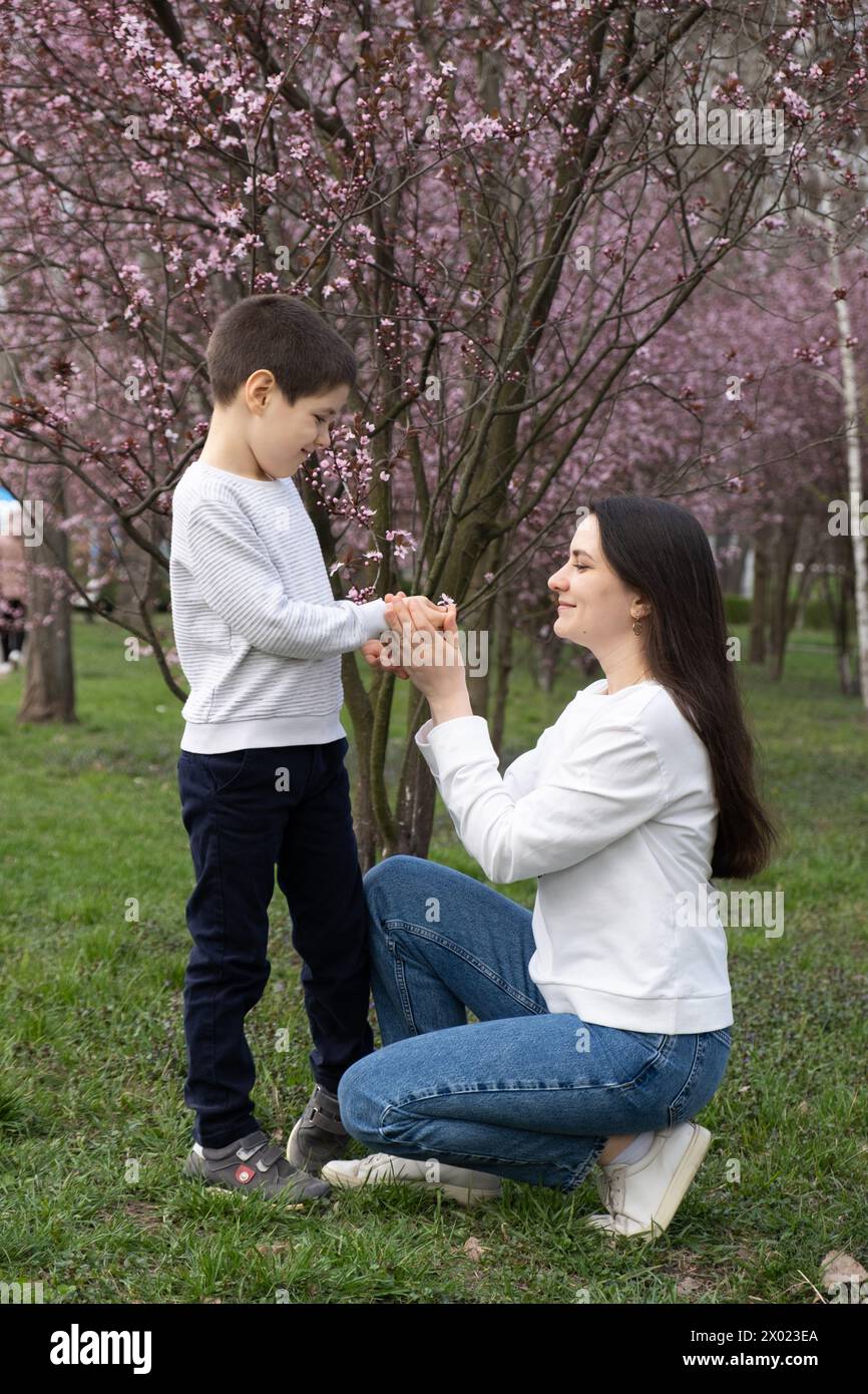 Il figlio dà a sua madre un piccolo fiore di ciliegio in primavera Foto Stock