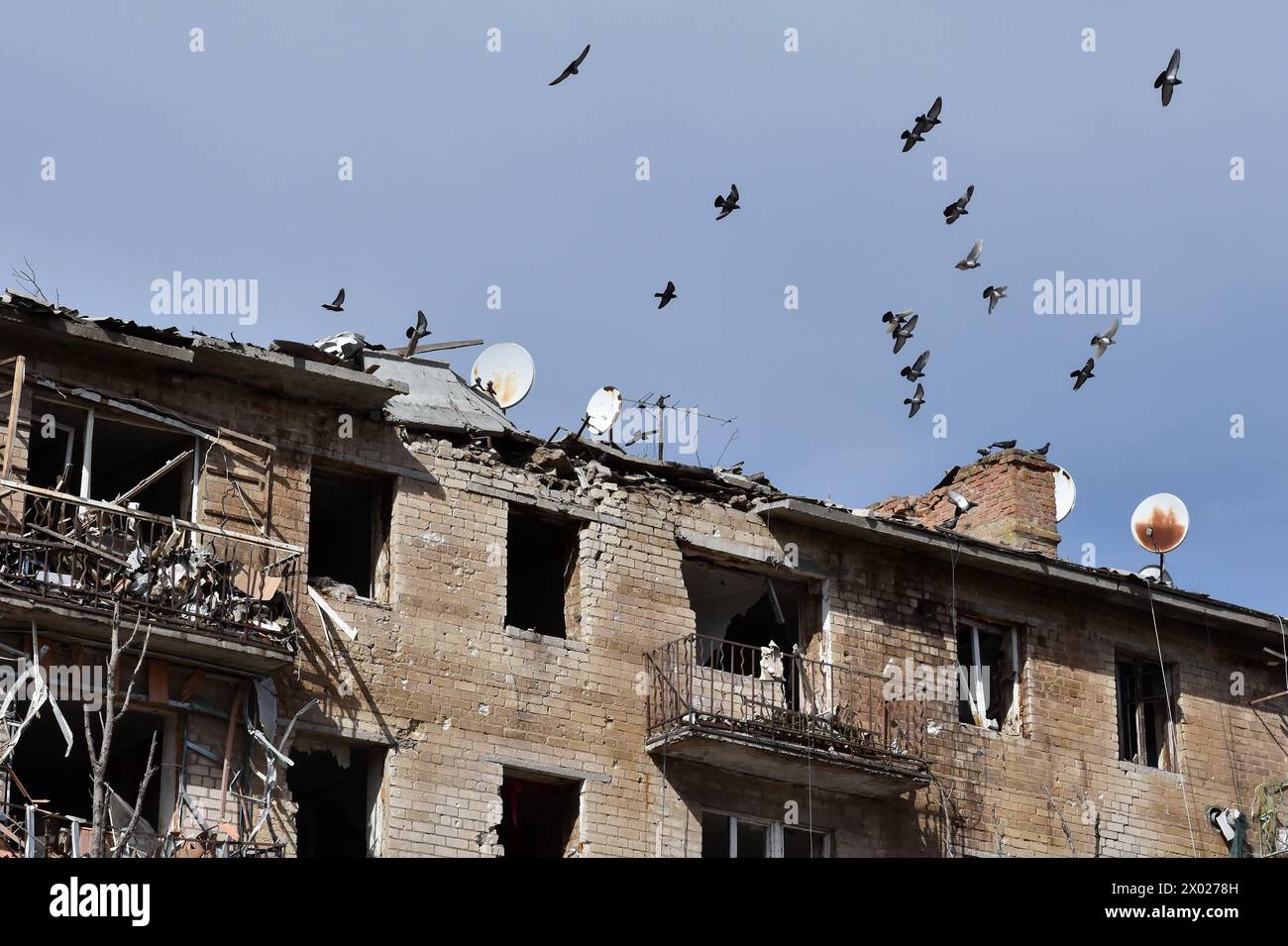Orikhiv, Zaporizhzhia, Ucraina. 5 aprile 2024. Piccioni che sorvolavano l'edificio dell'appartamento che è stato pesantemente danneggiato dai bombardamenti russi a Orikhiv. Orikhiv è una piccola città vicino a Zaporizhzhia, che serve come ultimo pilastro di resistenza per i soldati dell'esercito ucraino nel sud, mentre le forze armate russe continuano ad avanzare verso i Robotyne liberati. I cittadini di Orikhiv, che ospitano circa 700 persone, rischiano la vita a causa delle bombe aeree quotidiane e degli attacchi di artiglieria mentre lottano per sopravvivere. (Credit Image: © Andriy Andriyenko/SOPA Images via ZUMA Press Wire) SOLO PER USO EDITORIALE! Non per Commercial Foto Stock