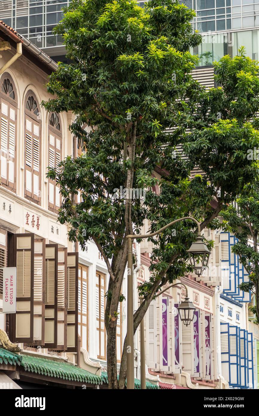 Telok Ayer Street, area centrale, Singapore, Asia Foto Stock