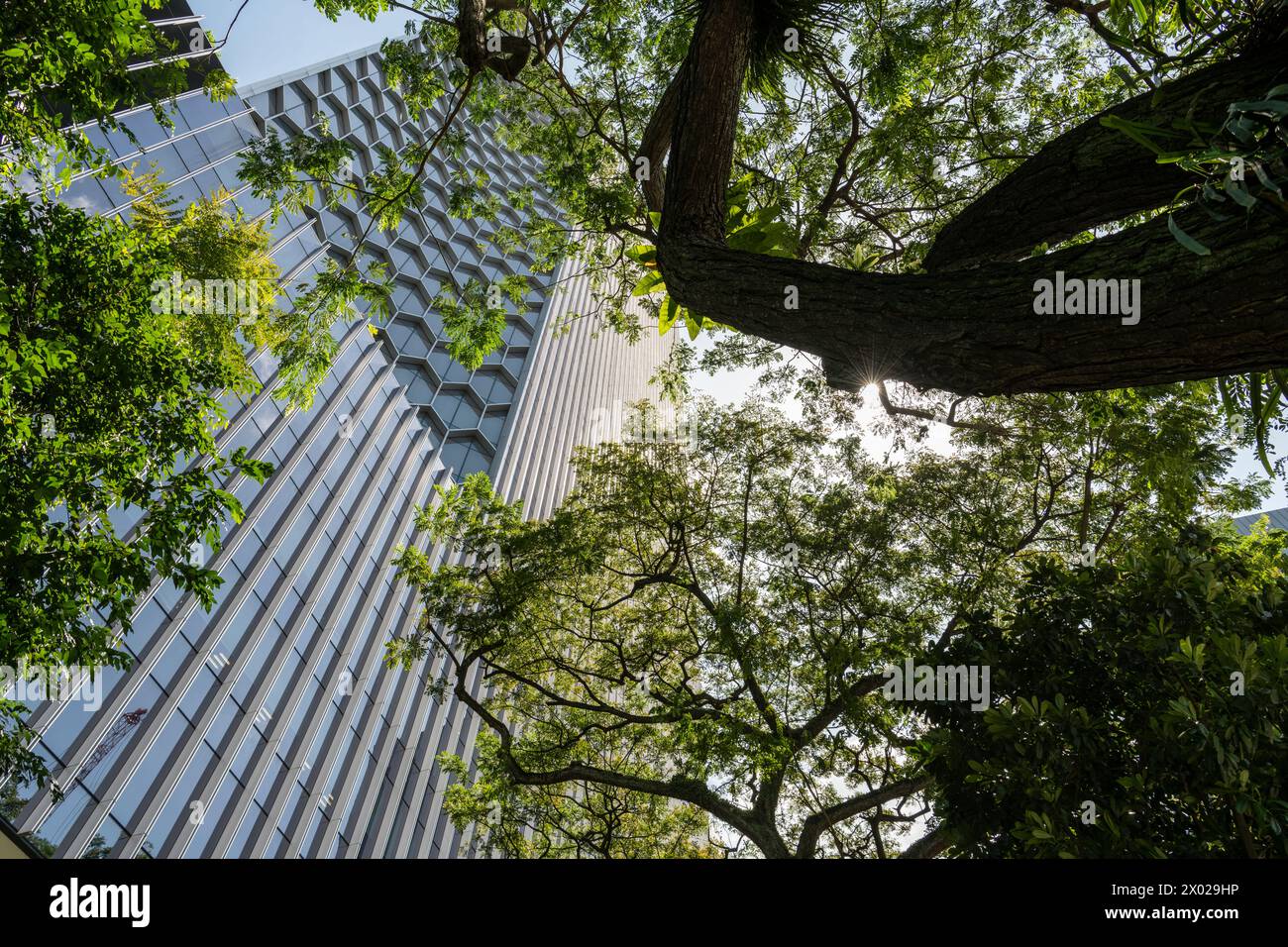 Area centrale, Singapore, Asia Foto Stock