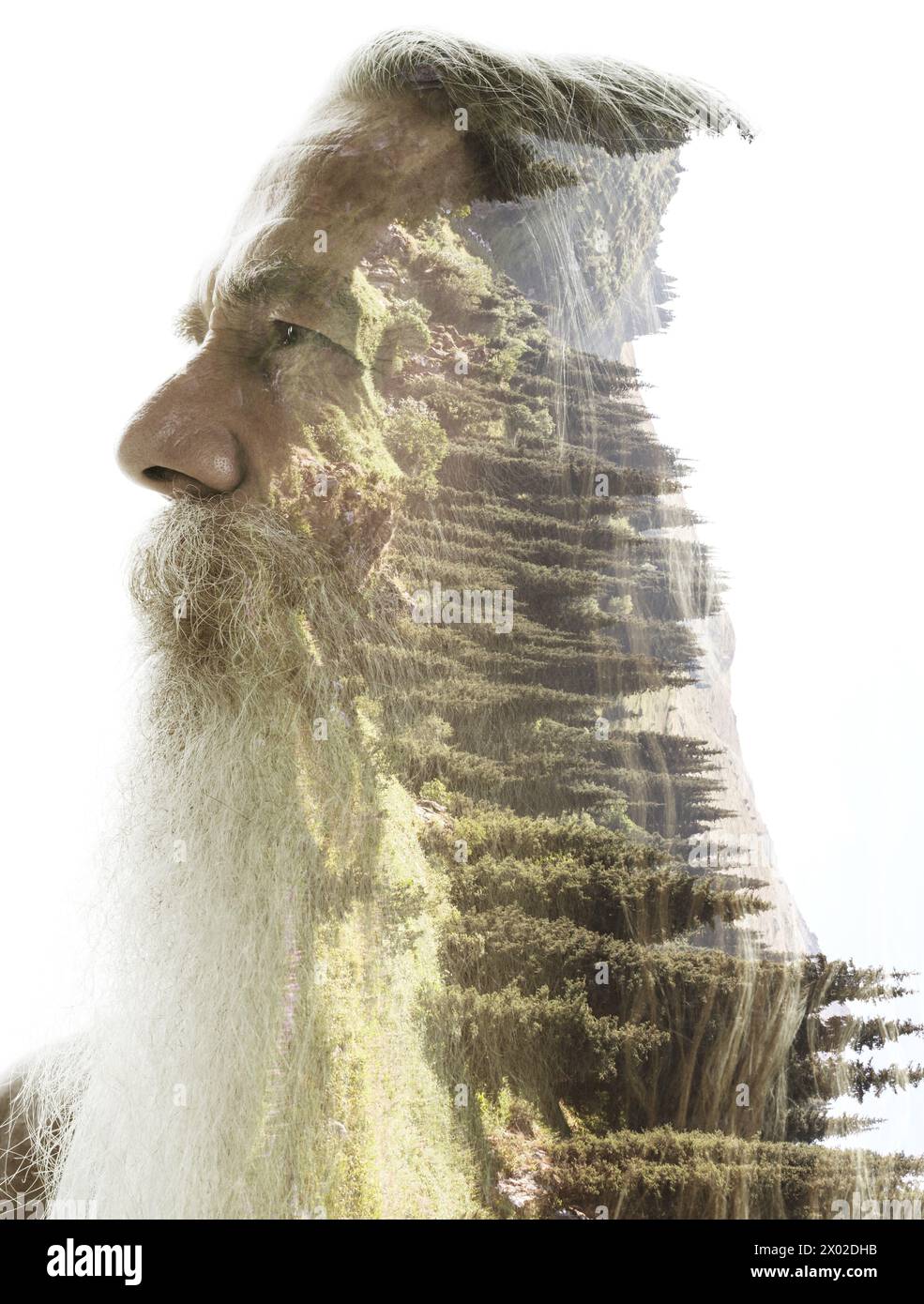 Un ritratto a doppia esposizione di un vecchio con la barba Foto Stock