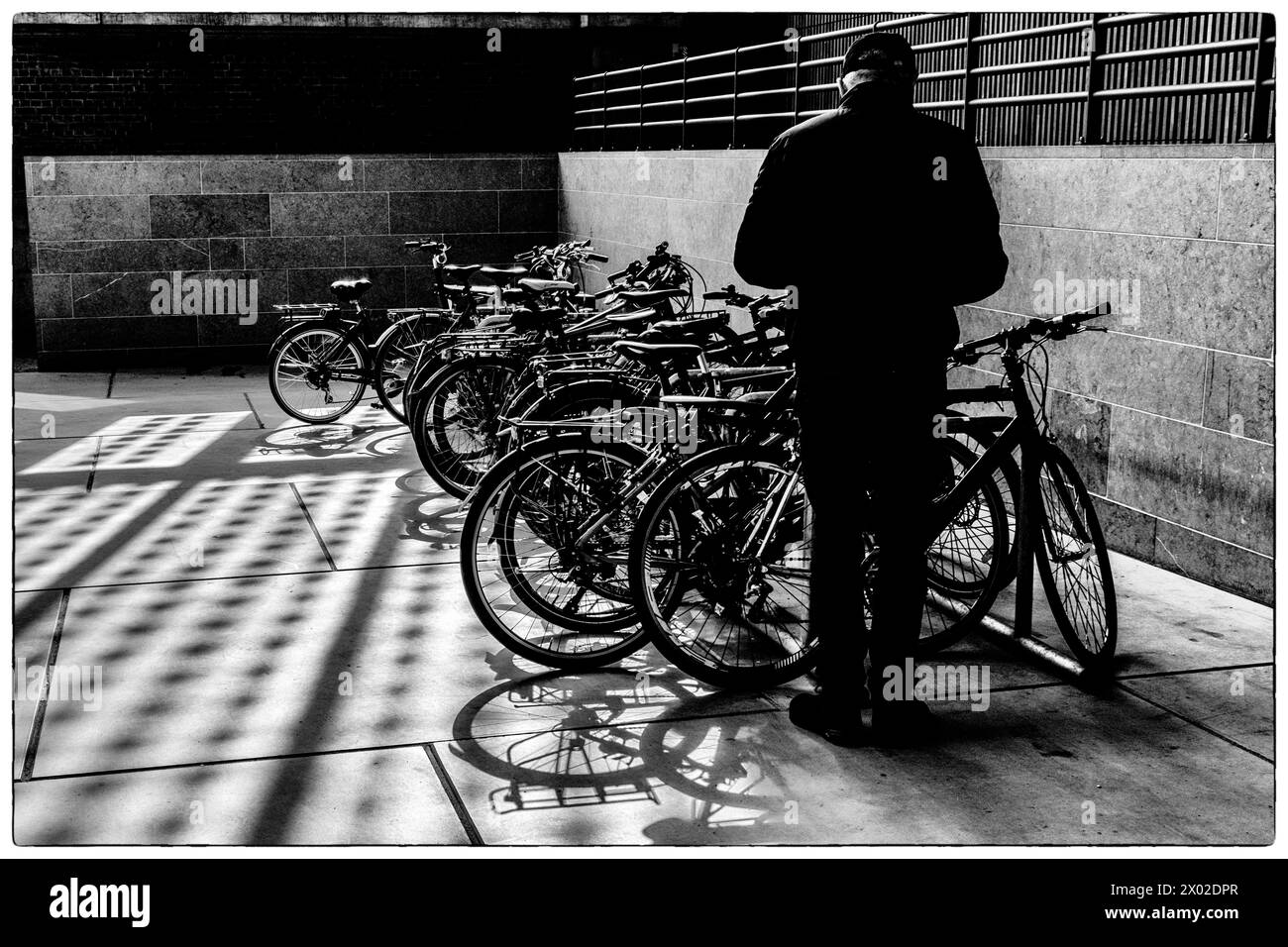 Esposizione di diversi tipi di bicicletta alla Bike Bruxelles - Vedi e dettagli su biciclette diffrent - bici elettrica - batteria nel telaio - bici da carico Foto Stock