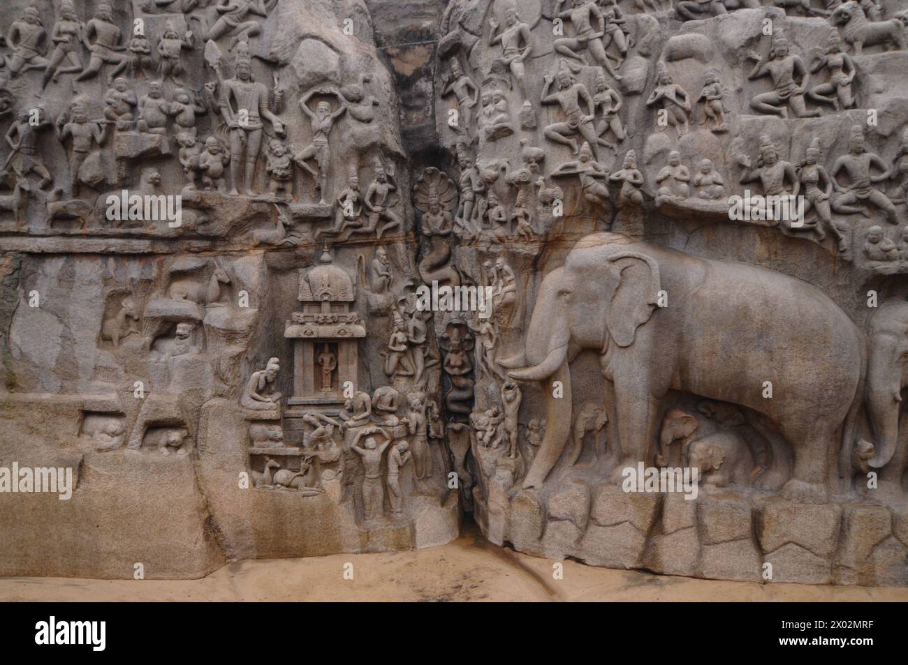 Bassorilievo della discesa del fiume Ganga, Mahabalipuram, sito patrimonio dell'umanità dell'UNESCO, Tamil Nadu, India, Asia Foto Stock