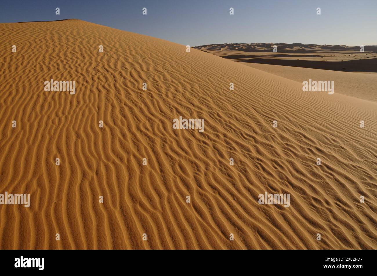 Pittoresche dune arancioni di Ubari, deserto del Sahara, Libia, Nord Africa, Africa Foto Stock