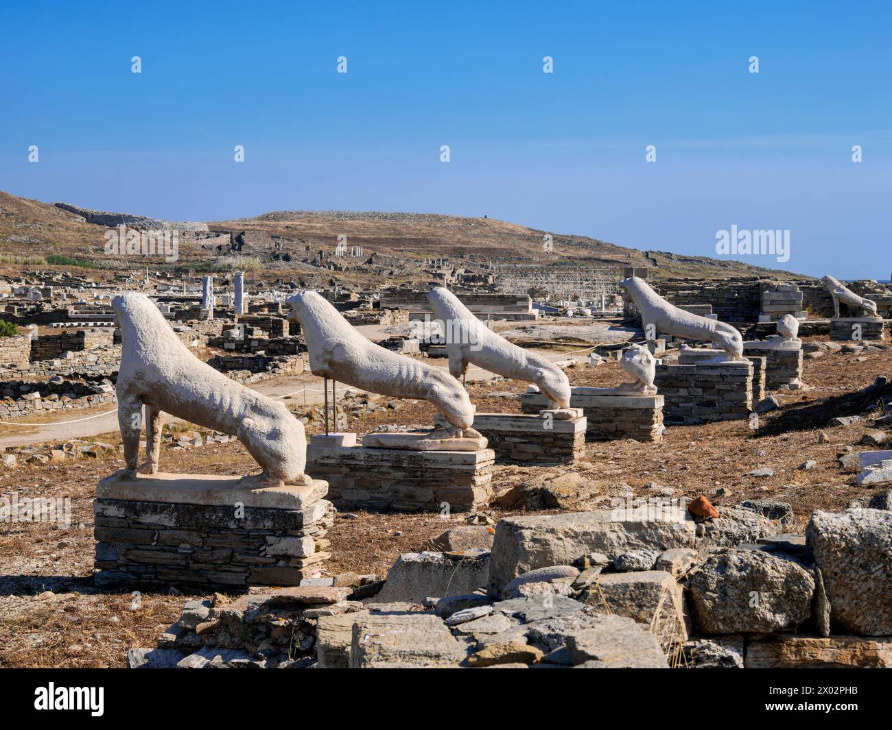 La Terrazza dei Leoni, sito archeologico di Delo, sito patrimonio dell'umanità dell'UNESCO, isola di Delo, Cicladi, isole greche, Grecia, Europa Foto Stock