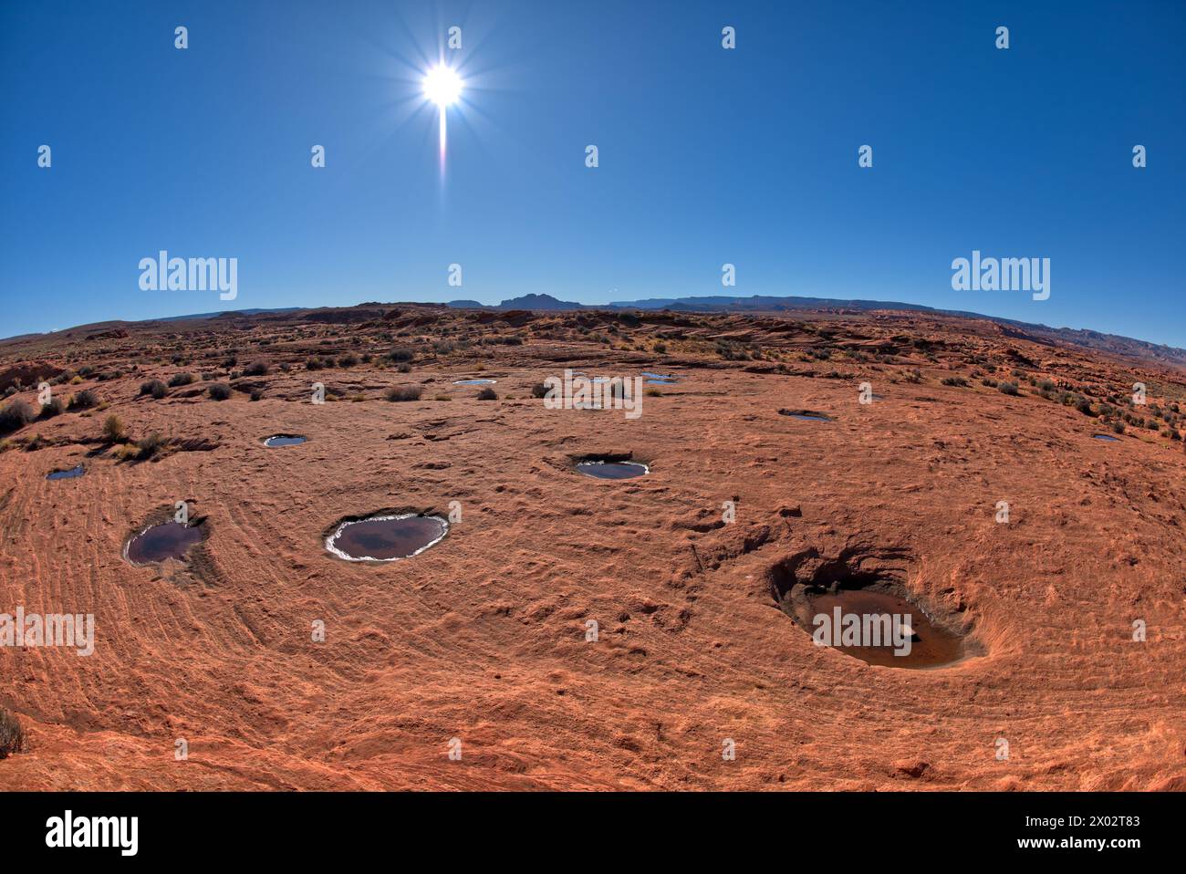 Una serie di piscine d'acqua isolate riflettenti nei calanchi di Horseshoe Bend vicino a Page, Arizona, Stati Uniti d'America, Nord America Foto Stock