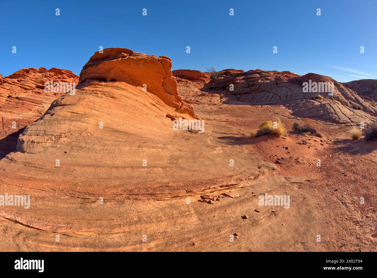 I vortici e la consistenza blocky delle dune di sabbia fossilizzata nei calanchi di Horseshoe Bend, Arizona, Stati Uniti d'America, Nord America Foto Stock