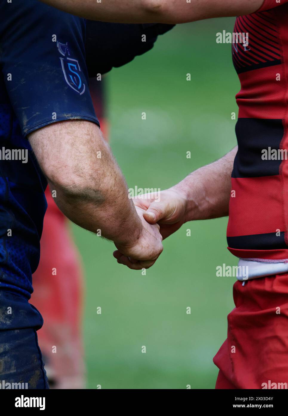 Primo piano di due giocatori di rugby maschile che stringono la mano dopo il gioco mostrando sportività, correttezza Regno Unito Foto Stock