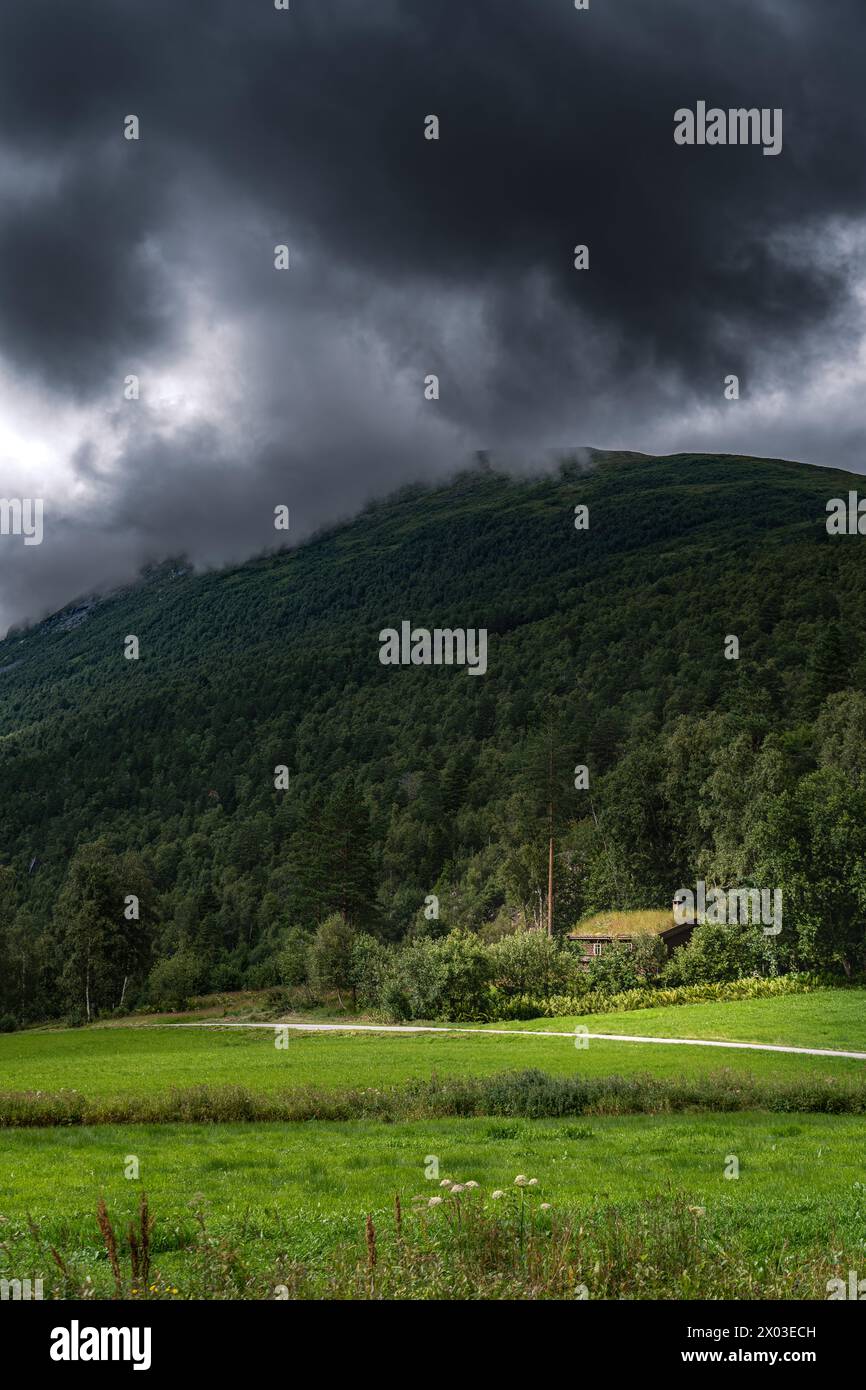 Un campo verde con rifugio nella foresta nordica ai piedi di una montagna boscosa e nuvole di tempesta, che mostra la bellezza della natura norvegese a Møre og Romsdal Foto Stock