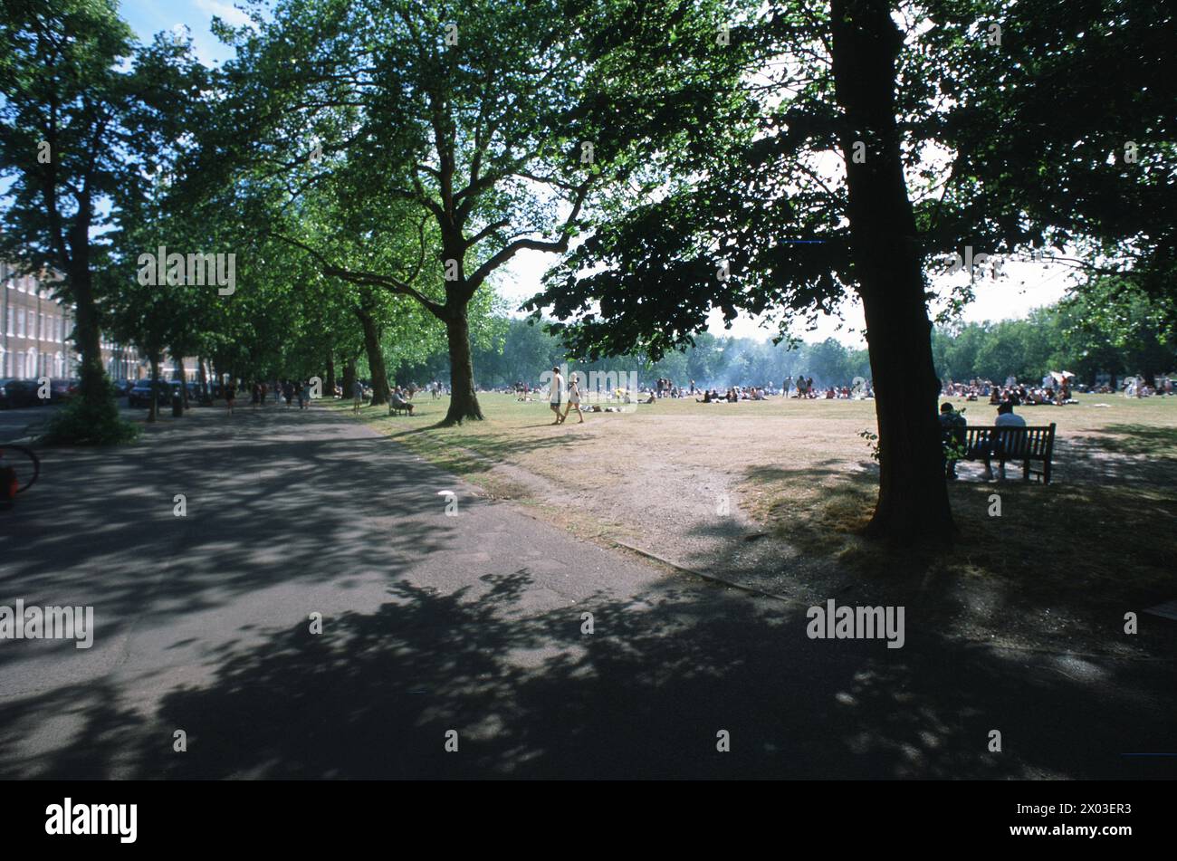 A soli pochi metri dai negozi e dai ristoranti di Upper Street e Holloway Road si trova l'impianto pubblico gemma di Islington Borough Council, con numerosi alberi, Highbury Fields, situato in una delle località più costose del quartiere. In tutte le condizioni atmosferiche attrae uscite familiari per picnic e barbecue, gruppi di esercizi, camminatori di cani, corridori e persino una piccola attrazione annuale per la fiera. Foto Stock