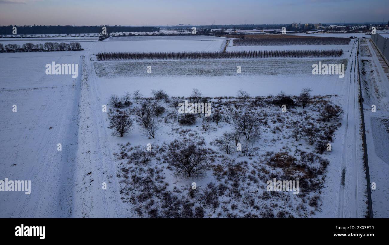 Paesaggio invernale innevato con campi e alberi intorno a Weiterstadt catturati con un drone in una serata invernale Foto Stock