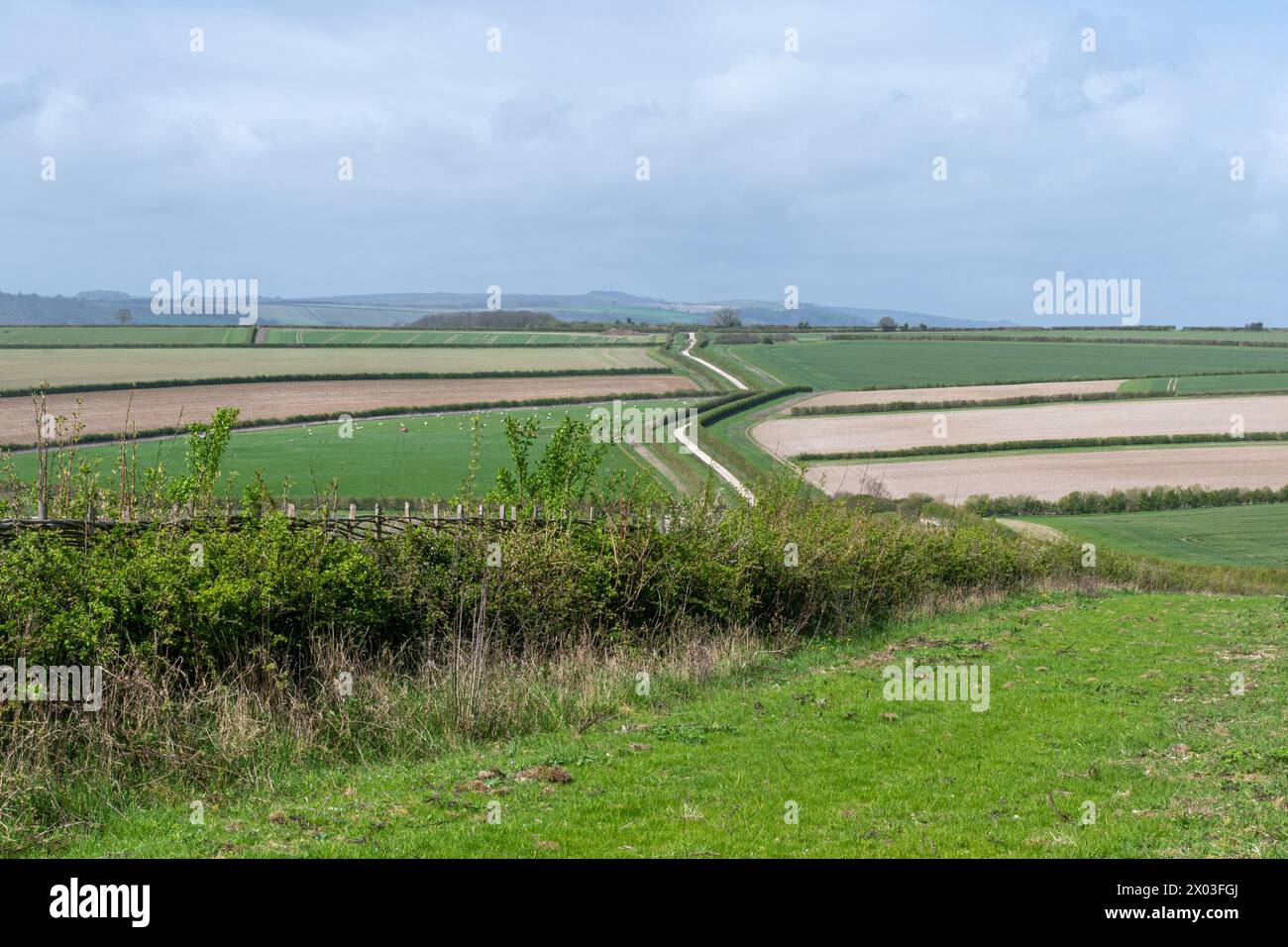 Paesaggio agricolo del South Downs National Park, pianura con gesso vicino a Storrington, West Sussex, Inghilterra, Regno Unito Foto Stock