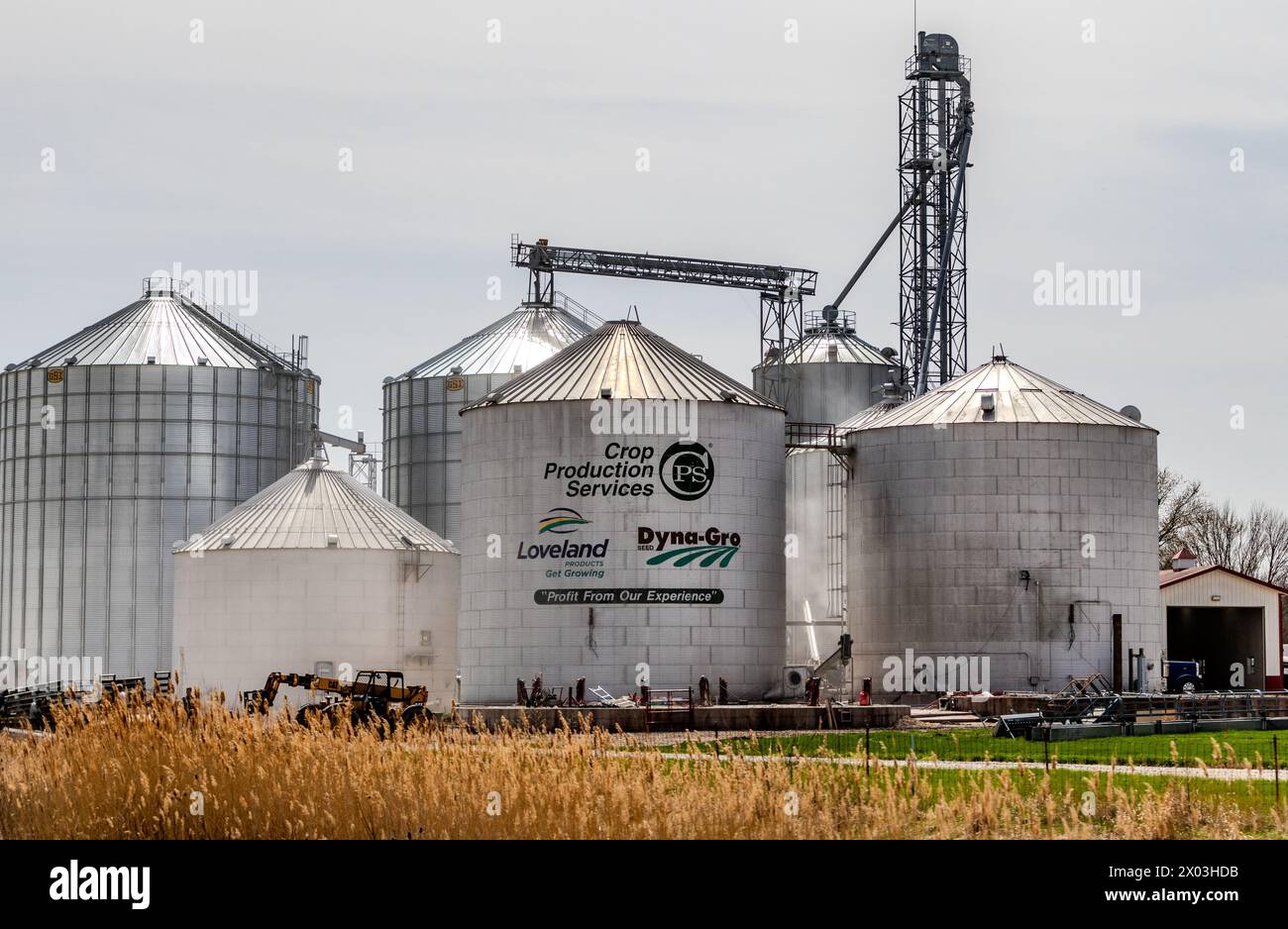 Silos agricoli nelle zone rurali dell'Indiana, Stati Uniti Foto Stock