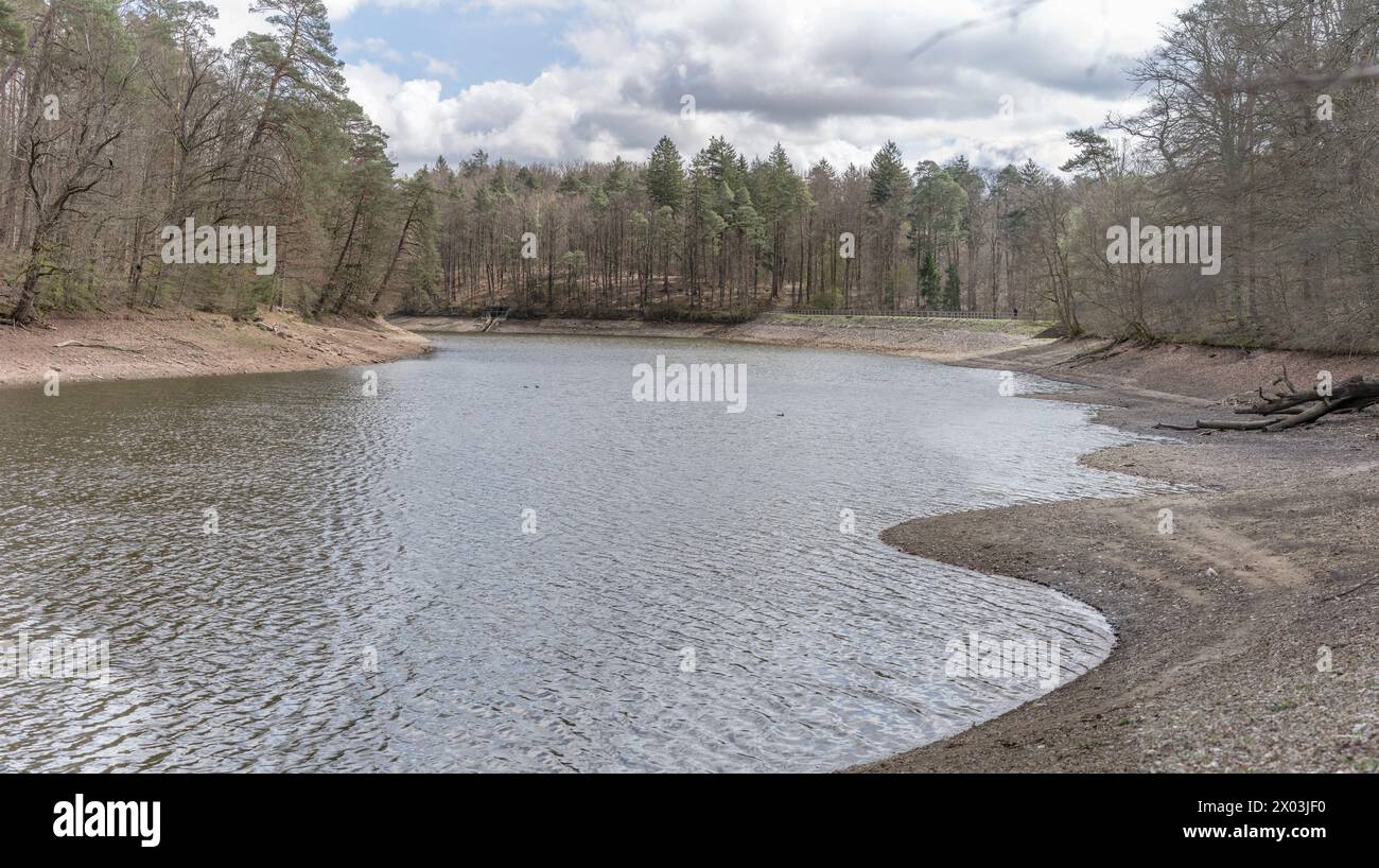 Paesaggio con lago tra boschi nello storico parco pubblico, girato alla luce della primavera a Stoccarda, Germania Foto Stock