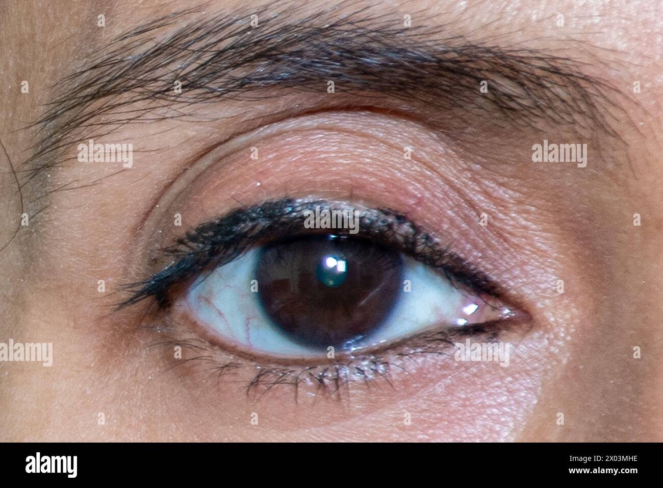Primo piano Ritratto dell'occhio destro di una bella donna, che guarda dritto con la pupilla nera e il sopracciglio definito Foto Stock