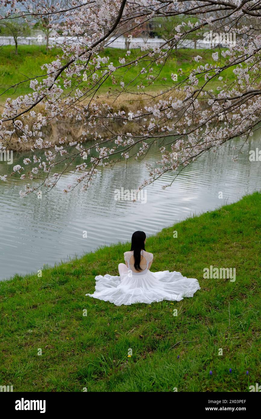 Persona in abito bianco seduta accanto a un fiume calmo sotto i fiori di ciliegio in primavera, catturando un momento tranquillo e riflessivo in Giappone. Foto Stock