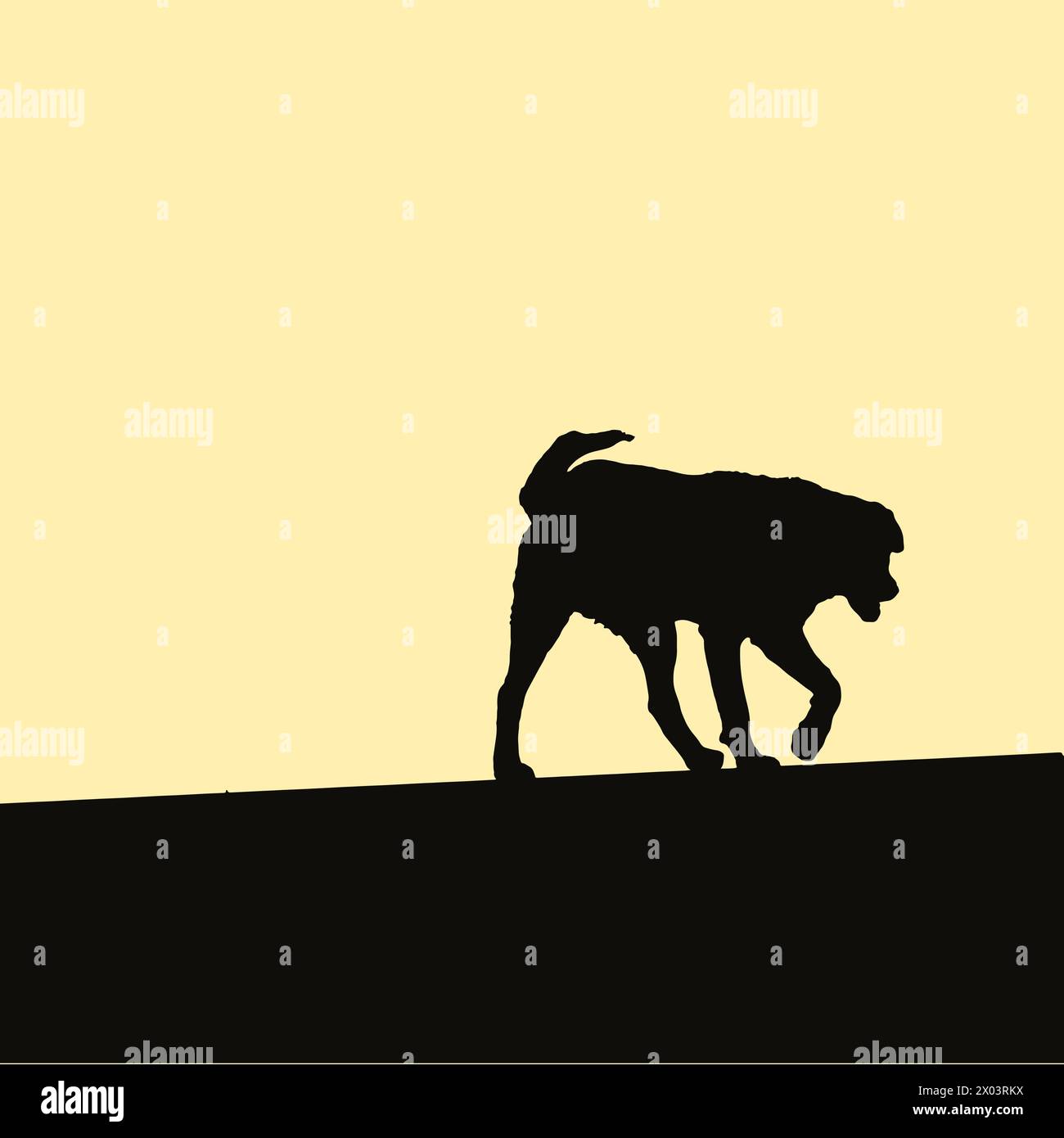 Stray dog senzatetto Illustrazione Vettoriale