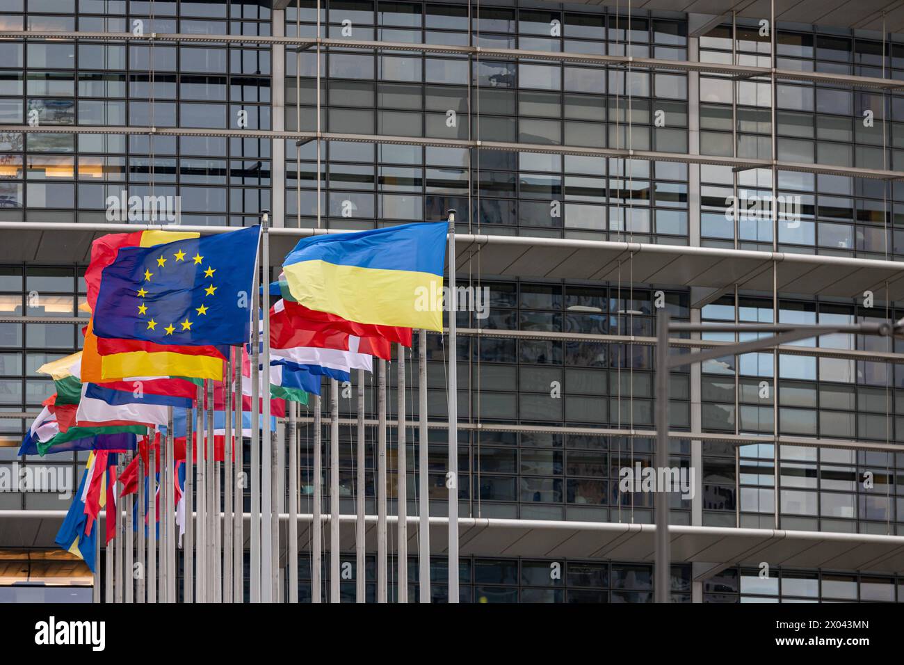 Europäische Parlament Straßburg in der aktuellen Sitzungswoche vor der Europawahl 2024 in Straßburg schmückt die Flagge der Ukraine neben den Europäischen Mitgliedsstaaten und der Europaflagge das Parlamentsgebäude. Straßburg Europäische Parlament Bas-Rhin Frankreich *** Parlamento europeo Strasburgo nel corso della sessione in vista delle elezioni europee del 2024 a Strasburgo, la bandiera dell'Ucraina adorna l'edificio del parlamento europeo di Strasburgo Bas Rhin Francia accanto agli stati membri europei e alla bandiera europea 240409  IMG 0690 Foto Stock