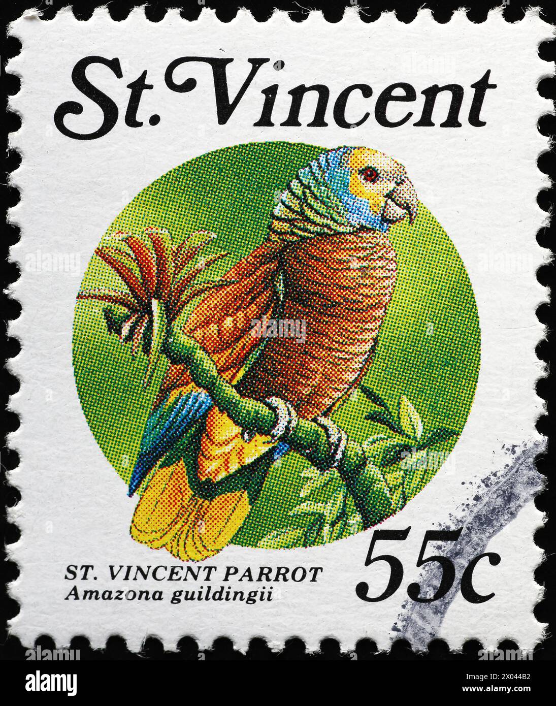 Pappagallo endemico di Saint Vincent su francobollo Foto Stock