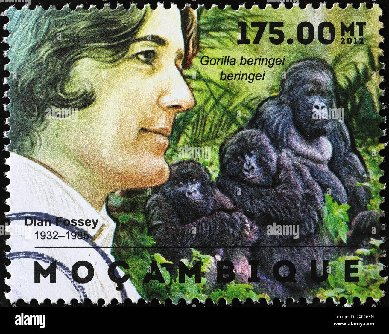 Dian Fossey e la famiglia di gorilla sul francobollo Foto Stock