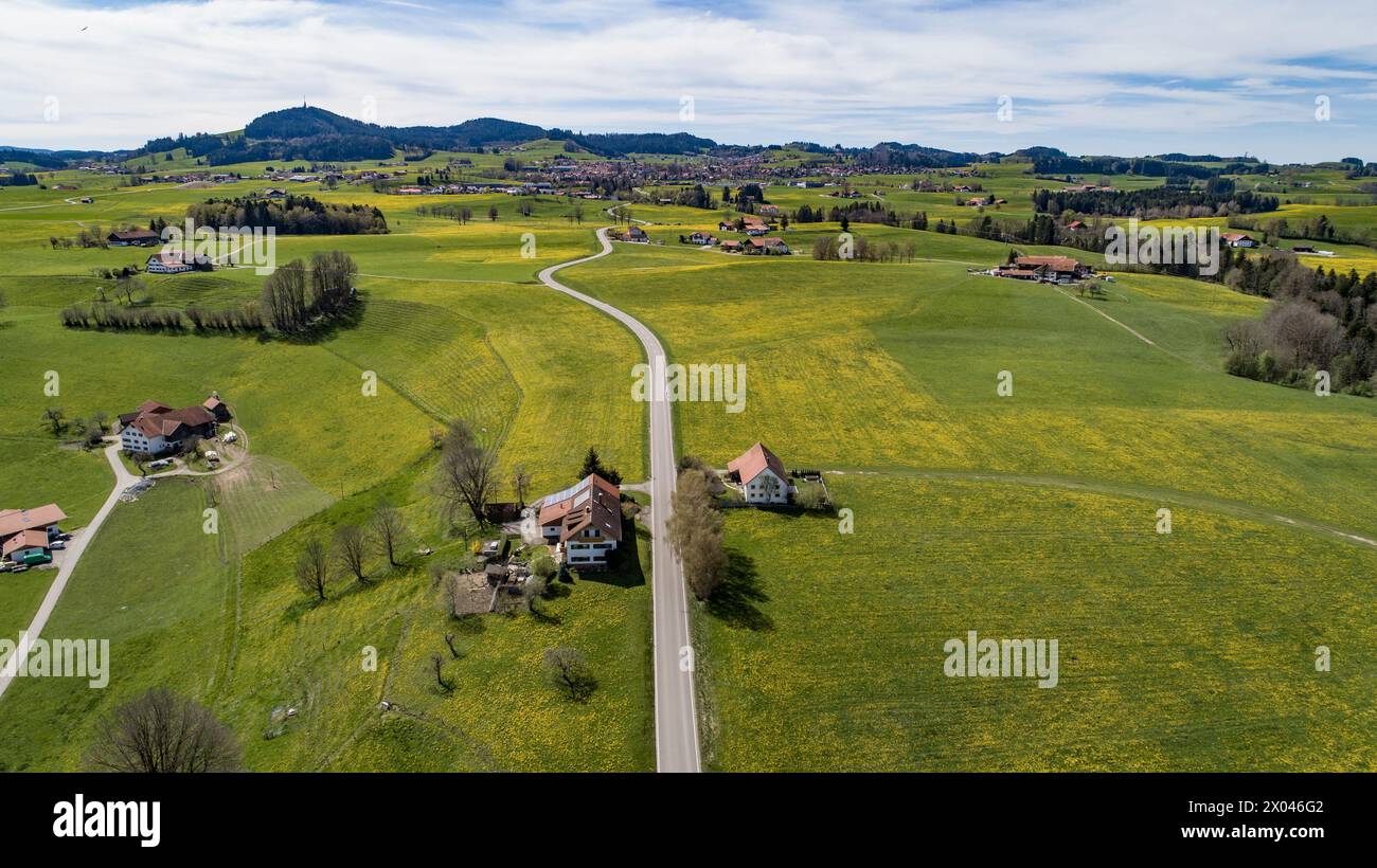 Vista aerea di una strada di campagna attraverso prati di tarassone in fiore in primavera, sullo sfondo la città di Wiggensbach nel Oberallgäu, Baviera, germe Foto Stock