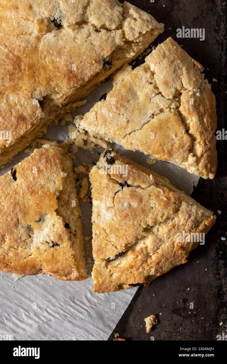 Scone dorato fatto in casa tagliato a spicchi di carta pergamena sulla teglia Foto Stock