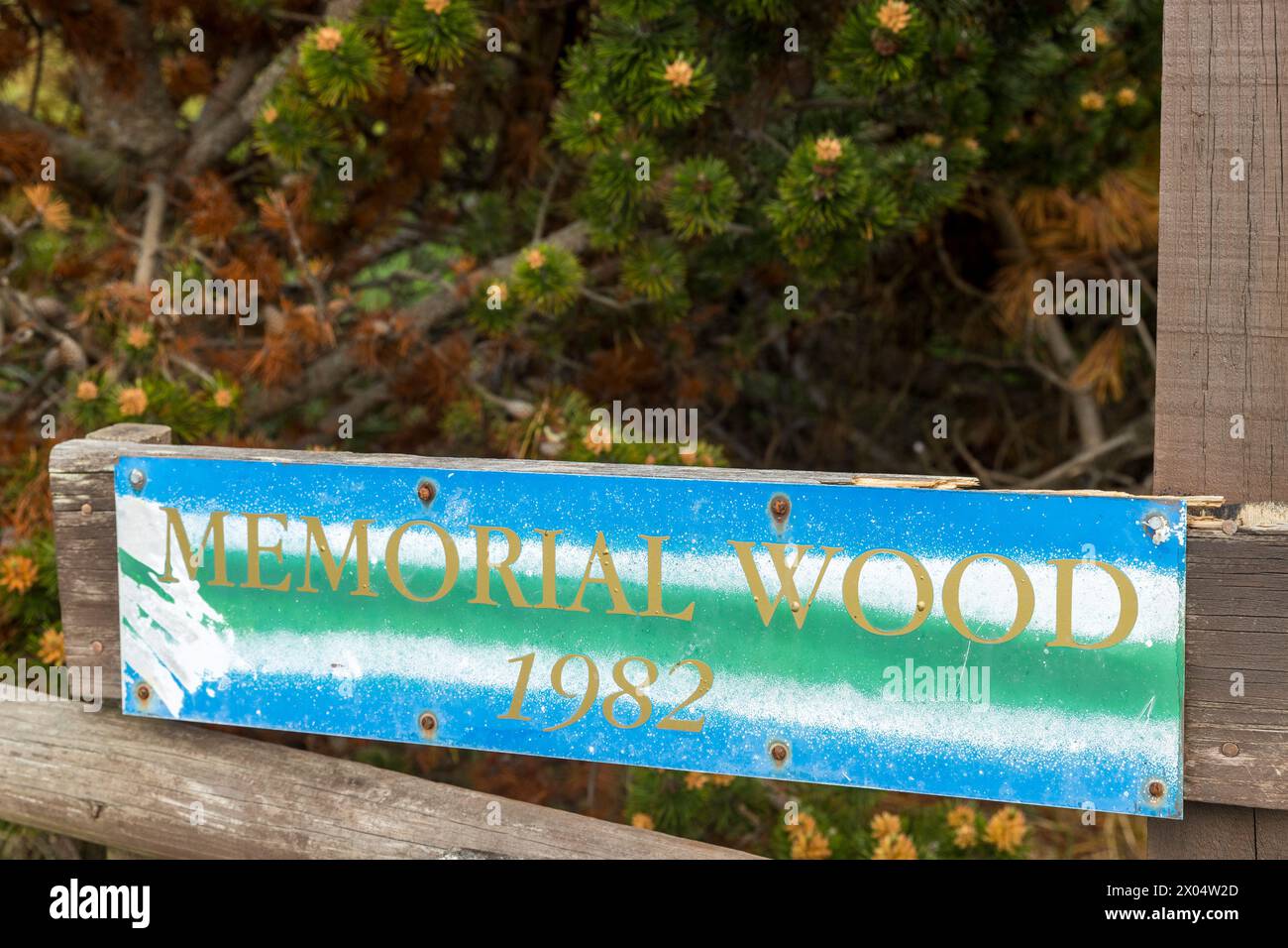 Memorial Wood, 1982, ingresso e cartello, Stanley, Isole Falkland, sabato 2 dicembre 2023. Foto: David Rowland / One-Image.com Foto Stock
