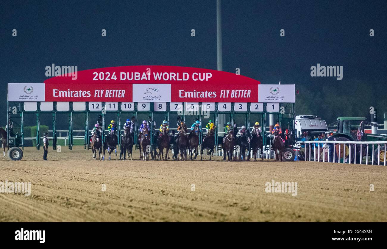 Il G1 Emirates Dubai World Cup 2024 inizia la gara, vinta da Laurel River e Tadhg o'Shea. Crediti JTW equine Images / Alamy. Foto Stock