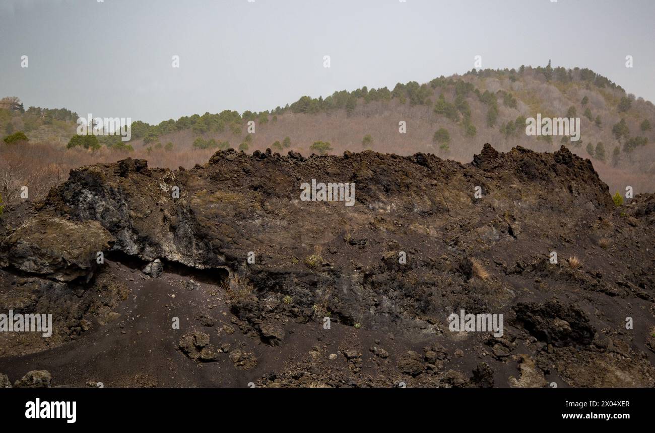 Il paesaggio lungo le strade del Monte L'Etna riflette le molteplici eruzioni e il flusso di lava, e alcune delle vegetazioni in ripresa. Foto Stock