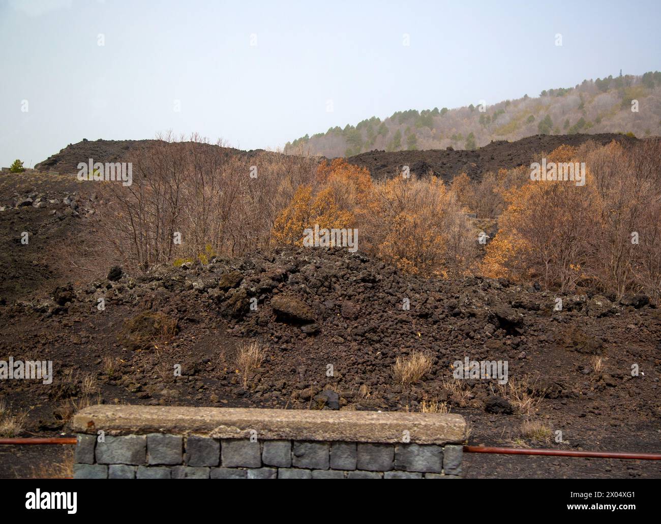 Il paesaggio lungo le strade del Monte L'Etna riflette le molteplici eruzioni e il flusso di lava, e alcune delle vegetazioni in ripresa. Foto Stock