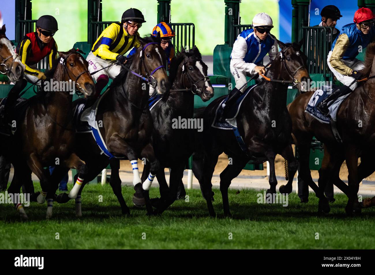 Il campo per il 2024 gruppo 1 Longines Dubai Sheema Classic si rompe dalle porte dell'ippodromo di Meydan, 30/03/24. Crediti JTW equine Images / Alamy. Foto Stock