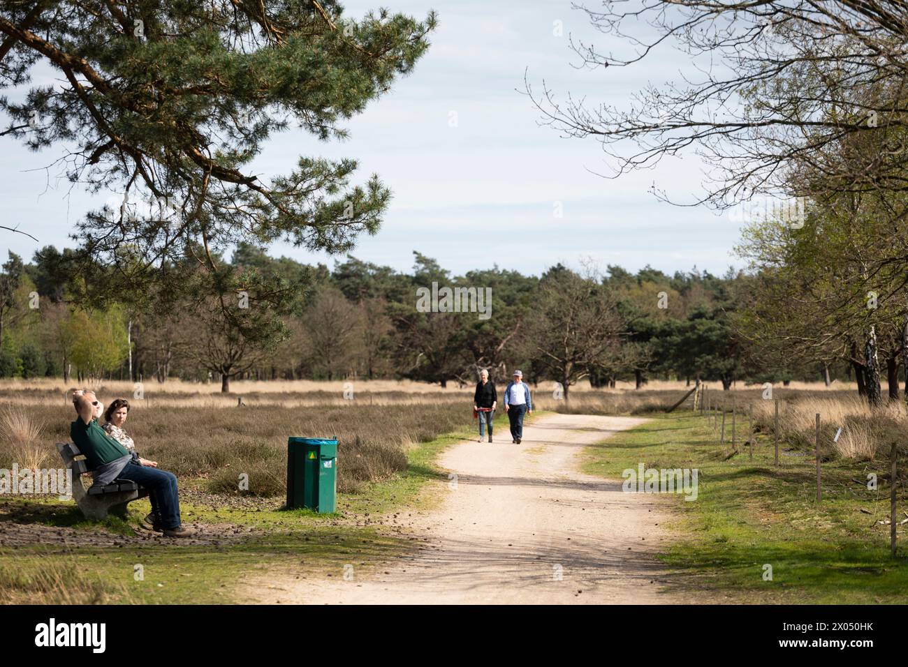 Coppia che cammina passando per una coppia riposante in una panchina, riserva naturale Strabrechtse Heide Netherlandswetlands, riserva naturale, Foto Stock