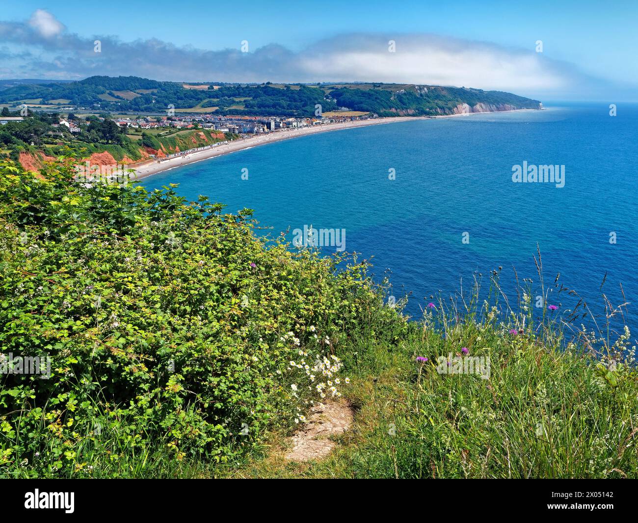 UK, Devon, Seaton, South West Coast Path con vista sulla città di Seaton e sulla baia di Seaton. Foto Stock