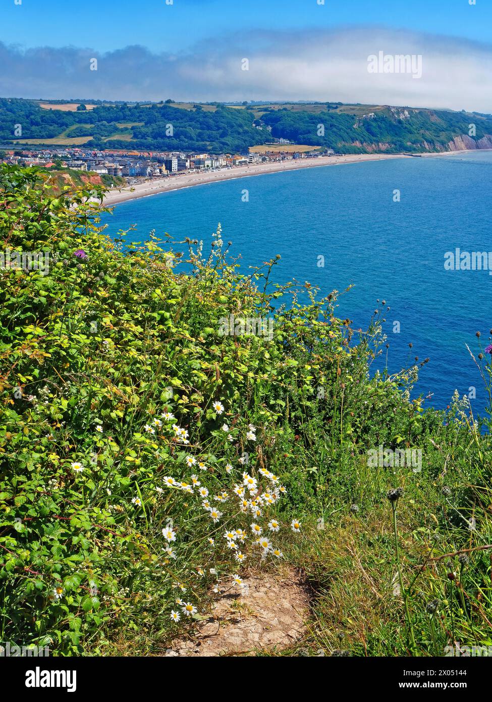 UK, Devon, Seaton, South West Coast Path con vista sulla città di Seaton e sulla baia di Seaton. Foto Stock