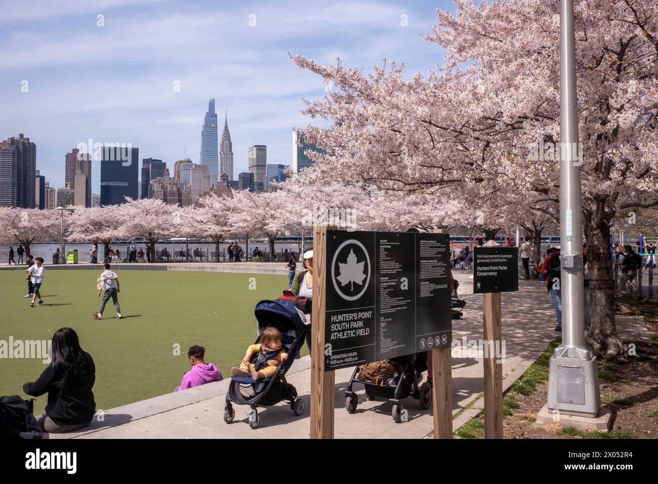 I ciliegi Yoshino sono in fiore all'Hunter's Point South Park a Long Island City il 9 aprile 2024 nel Queens Borough di New York City, Stati Uniti. Foto Stock
