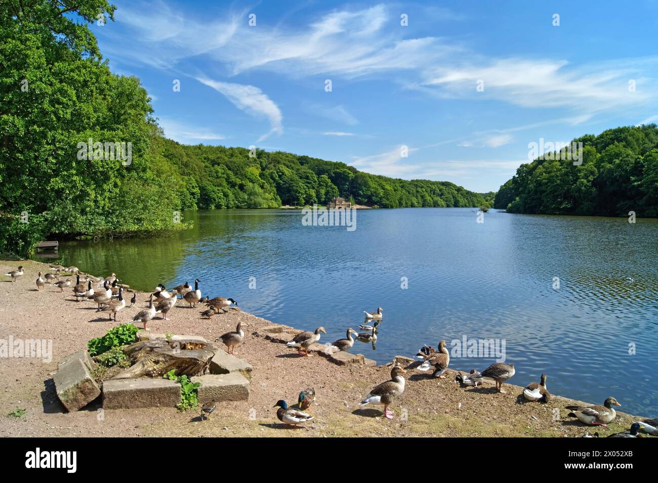 Regno Unito, West Yorkshire, Wakefield, Newmillerdam. Foto Stock