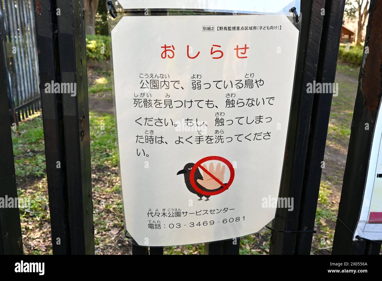 Cartello segnaletico di toccare un uccello morto o malato nel parco Yoyogi - Yoyogikamizonocho, Shibuya City, Tokyo, Giappone - 1 marzo 2024 Foto Stock