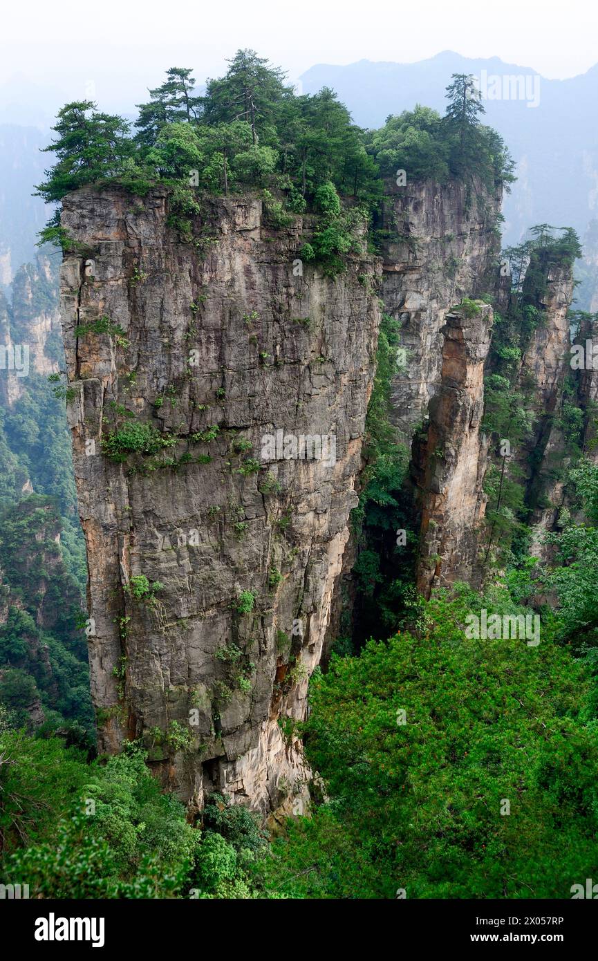 Colonne di arenaria sorgono sopra la lussureggiante foresta del Parco Nazionale della Foresta di Zhangjiajie nell'area panoramica di Wulingyuan, Cina. Foto Stock