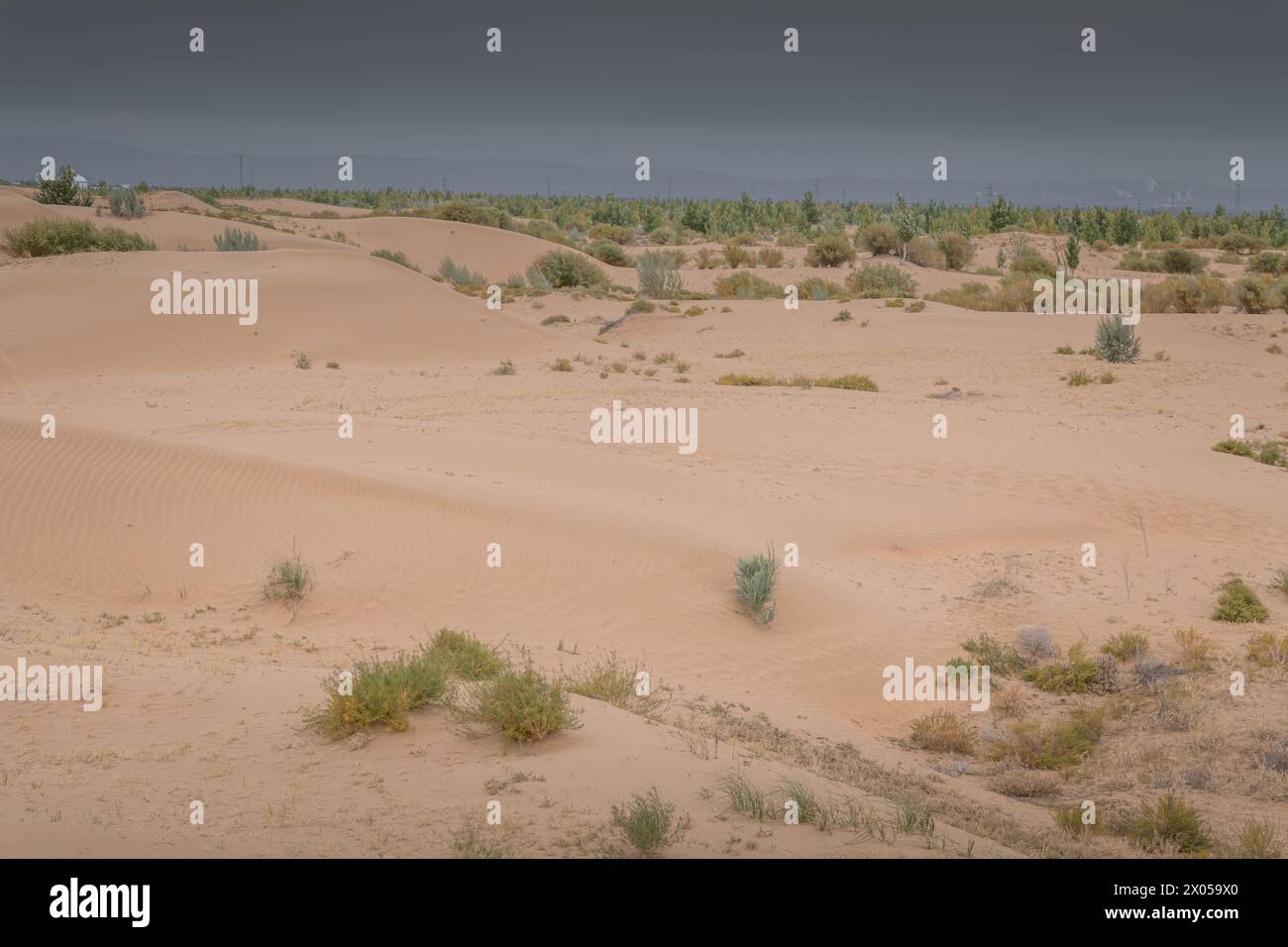 Deserto di Tengri nella regione autonoma della Mongolia interna in Cina. Foto al tramonto con spazio per la copia del testo Foto Stock