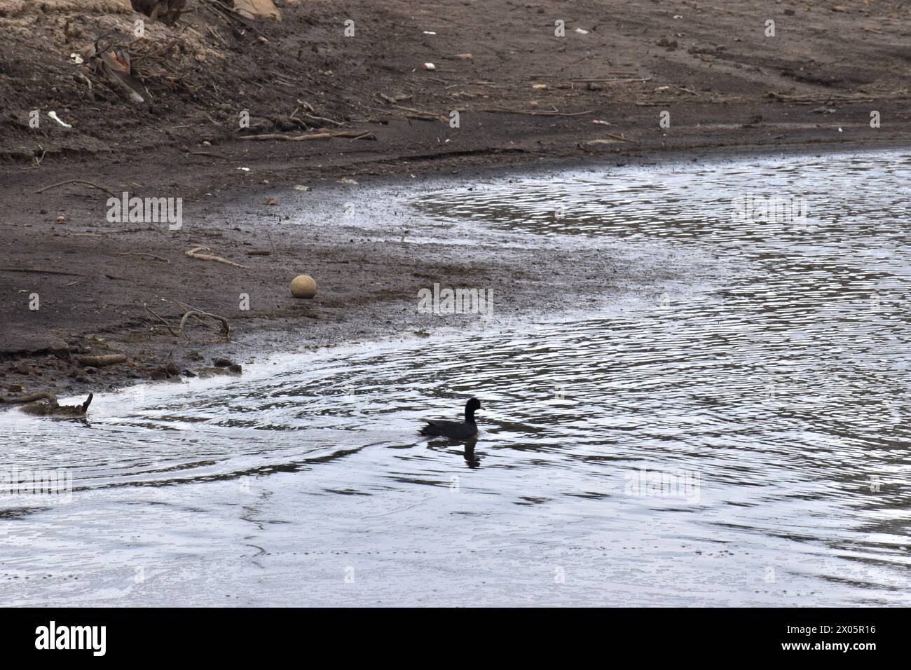 Bogotà, Colombia. 8 aprile 2024. Una vista del bacino idrico di San Rafael di acqua potabile a la Calera, in Colombia, dopo che la siccità ha abbassato il livello dell'acqua, l'8 aprile 2024. Foto di: Cristian Bayona/Long Visual Press credito: Long Visual Press/Alamy Live News Foto Stock