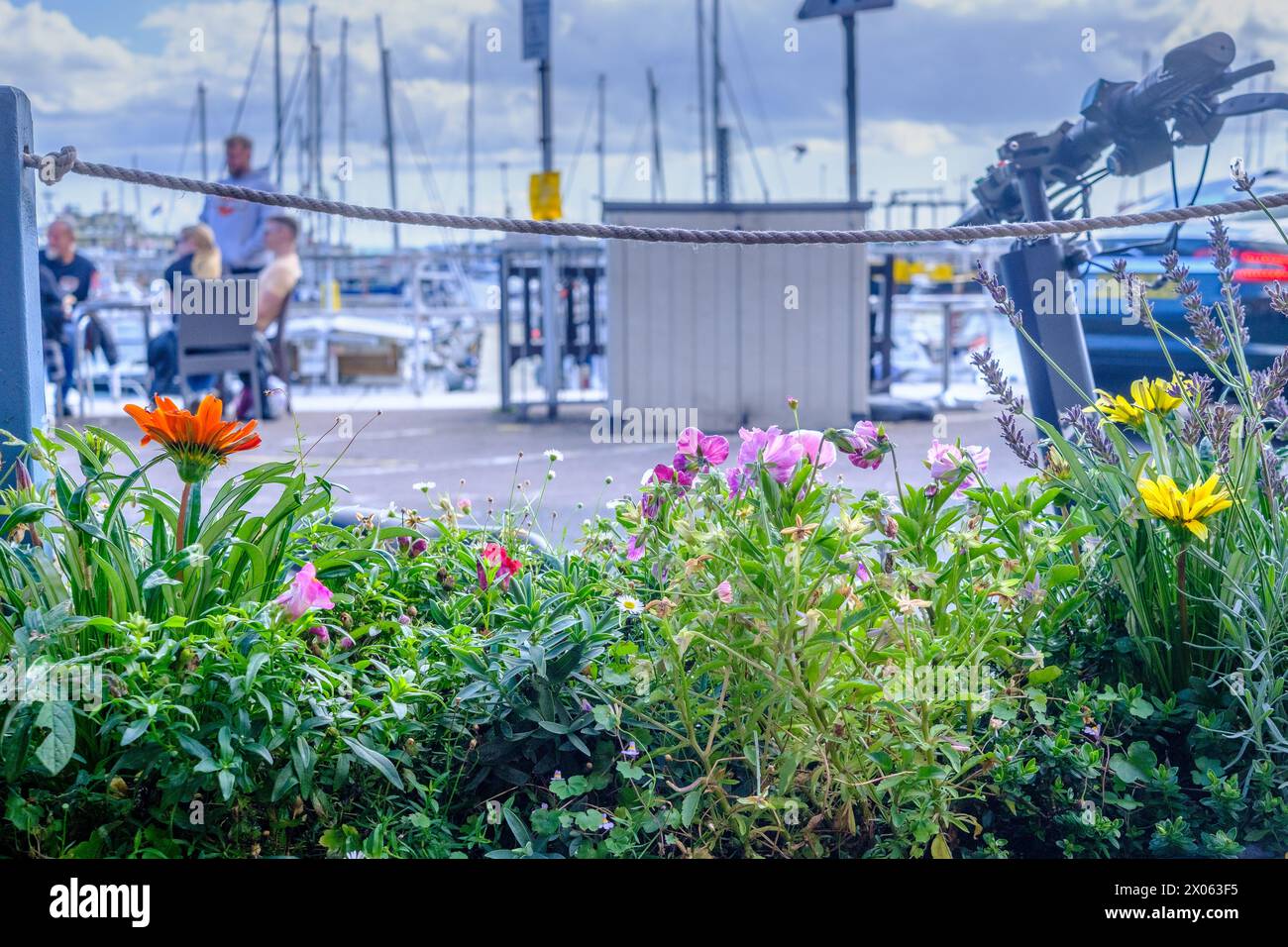 Ramsgate Royal Harbour con fiori colorati foglie verdi e piante. Barriera per funi fissata a pali metallici. Persone sedute su sedie. Barche attraccate. Foto Stock