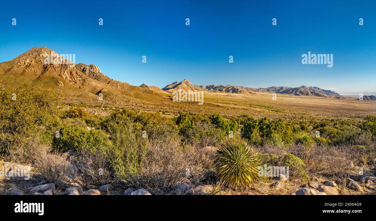Baylor Peak sulla sinistra, San Augustin Range sulla White Sands Missile Range, vista dal campeggio, Aguirre Spring Recreation area, Organ Mtns, New Mexico Foto Stock